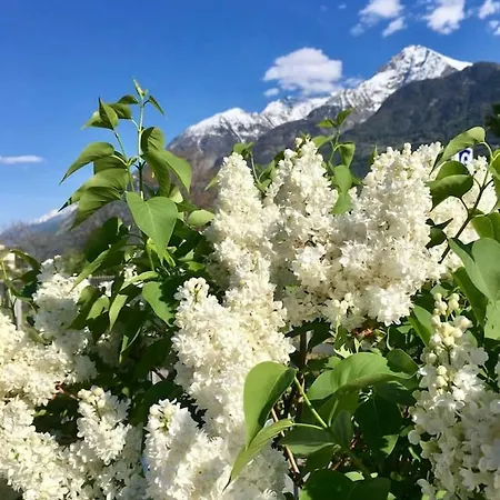 La Petite Madeleine Aosta